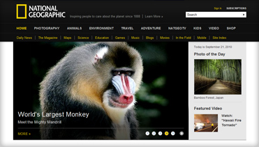 在线电话呼死你